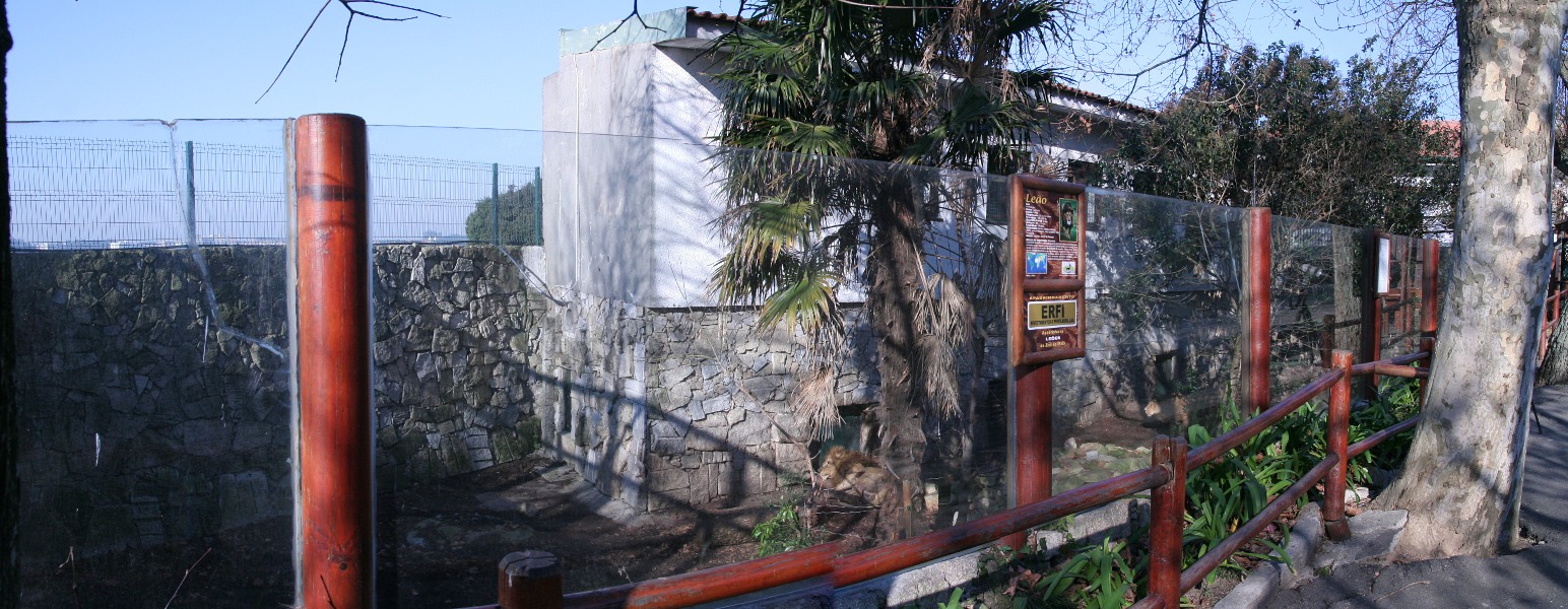 pano11.jpg - enclos d'autres lions