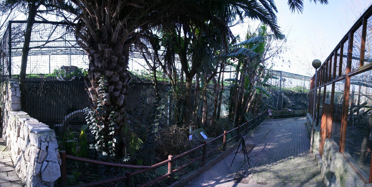 pano3.jpg - on voit la petite cage ou le tigre tourne en rond