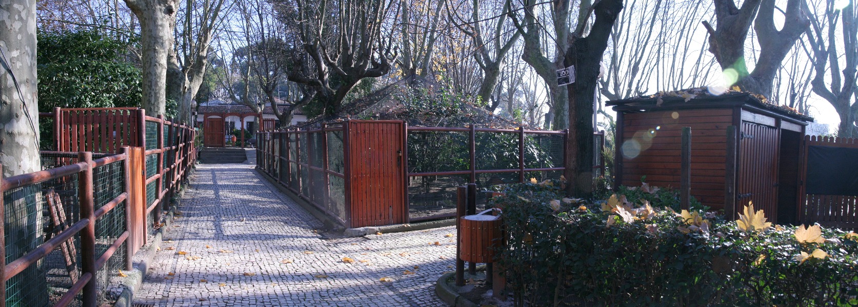 pano5.jpg - volière