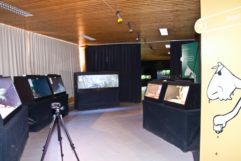 IMG_4390.jpg - première salle du reptilarium