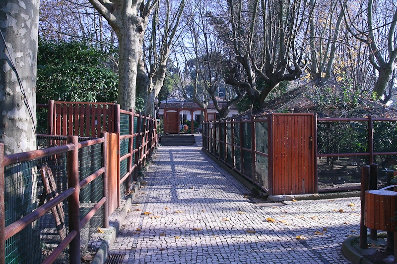 IMG_5730.jpg - allée de l'entrée