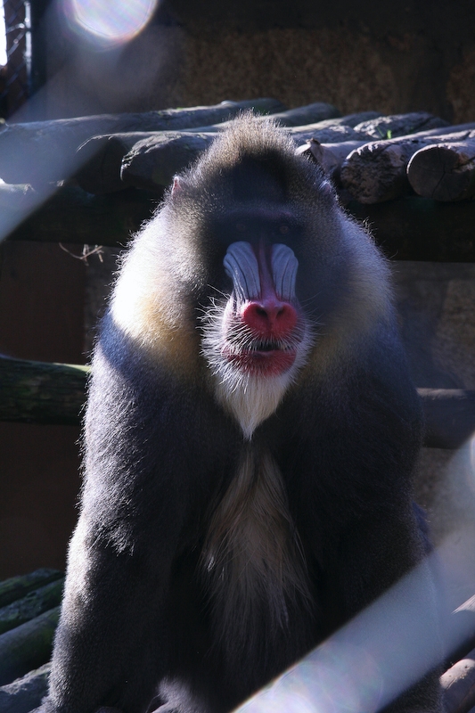 IMG_5779.jpg - et encore