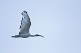 IMG_0114-1