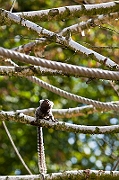 IMG_2602