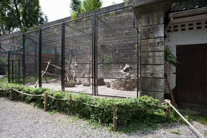 IMG_9822.jpg - la cage bas des cigognes et autres ibis sacrés, il y reste quelques cigognes (pour une raison qui m'échappe)