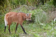 IMG_0005