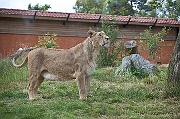 IMG_0026