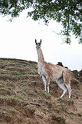 IMG_9738