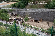 IMG_9794