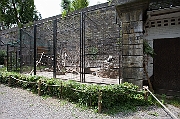 IMG_9822
