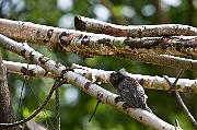 IMG_9829