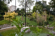 IMG_9914