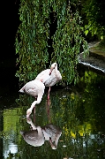 IMG_9945