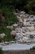 IMG_9962