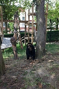 IMG_0193