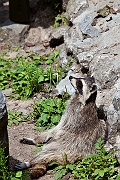 IMG_0425