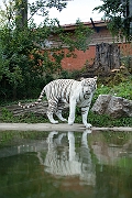 IMG_0617