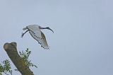 IMG_4860