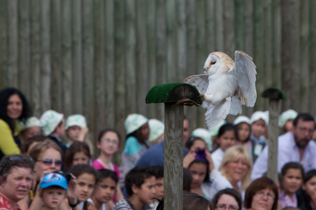 IMG_7432.jpg - aterrissage réussi