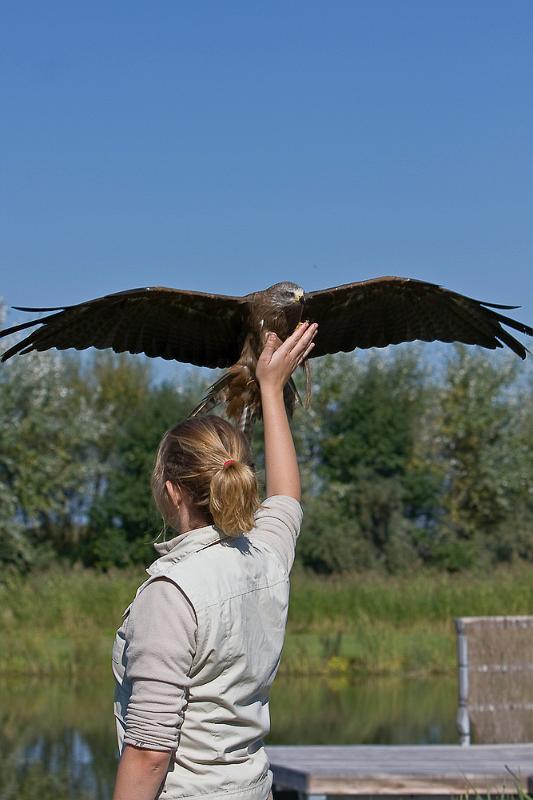 IMG_1629.jpg - prise de récompense au vol ! impressionant