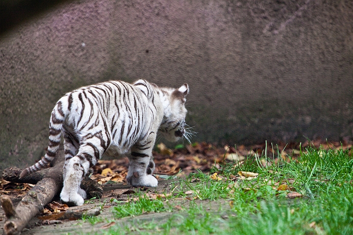 IMG_3246.jpg
