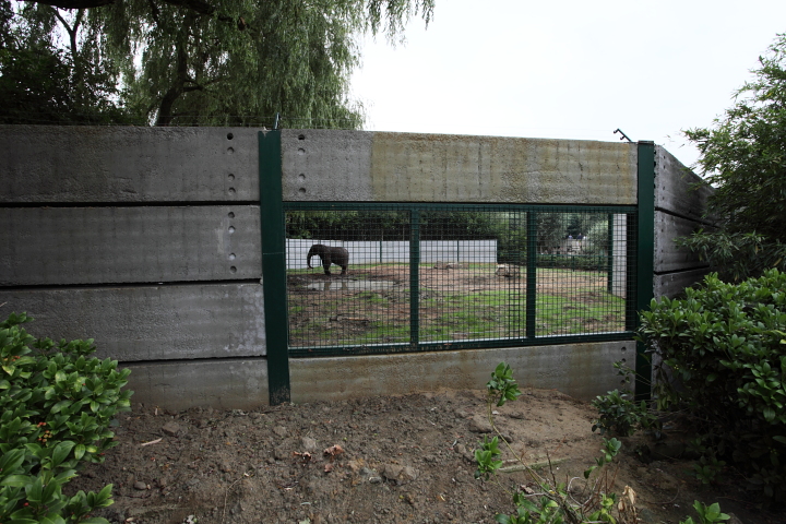 IMG_2558.JPG - en face l'enclos d'un éléphant, en fait de piscine il a une petite mare. c'est peut être l'un des seuls défauts que j'ai pu rencontrer