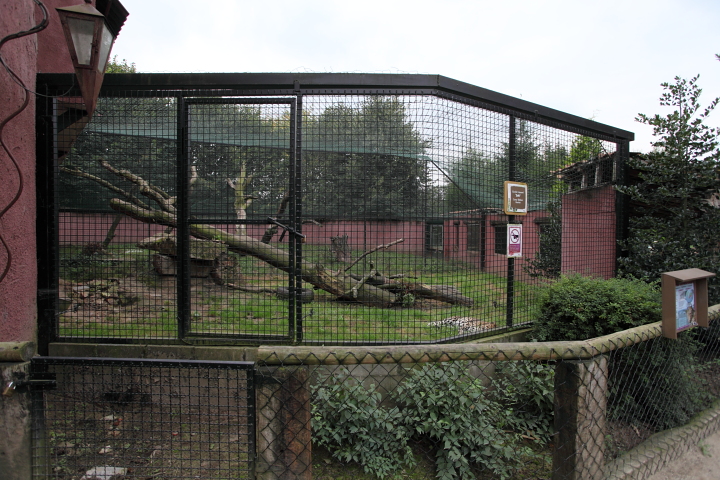 IMG_3376.JPG - en face de cette cage deux cages une avec une pathère et l'autre des lynx communs
