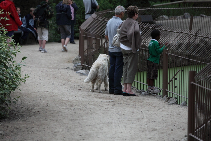 IMG_3904.JPG - c'est le premier zoo que je visite et qui accepte les chiens ...
