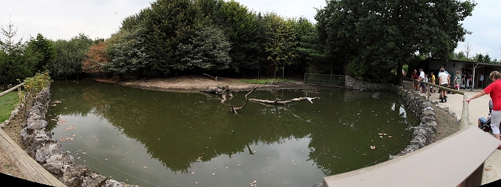 Maredelhippopyugme.jpg - pano mare de l'hippo pygmé