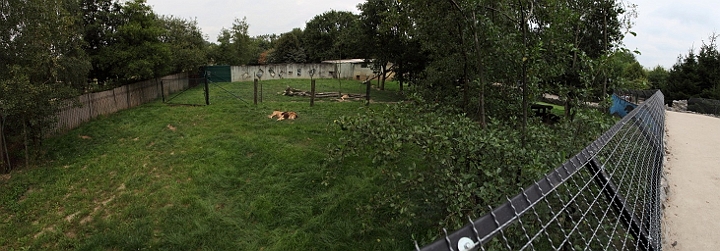 enclosdulion.jpg - pano enclos du lion