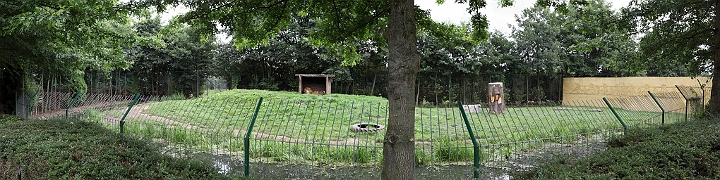 enclostigredesiberie.jpg - Enclos tigre de sibérie
