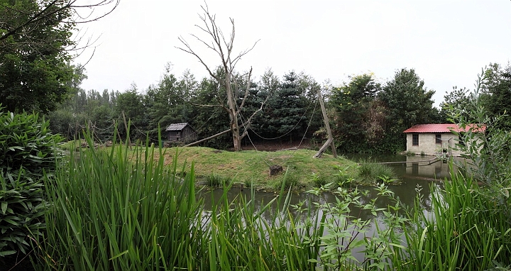 iledeslardevantletigredesiberie.jpg - pano Ile de gibbons lar devant le tigre de sibérie