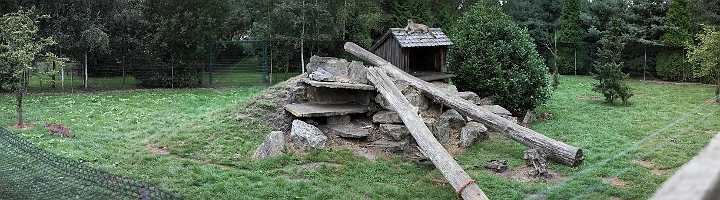 panopuma.jpg - pano de l'enclos des pumas
