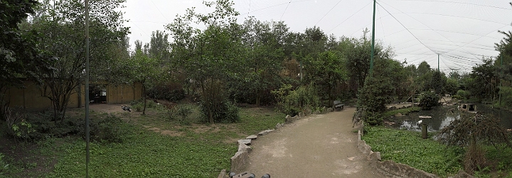 panovolieregrues.jpg - Pano de la volière