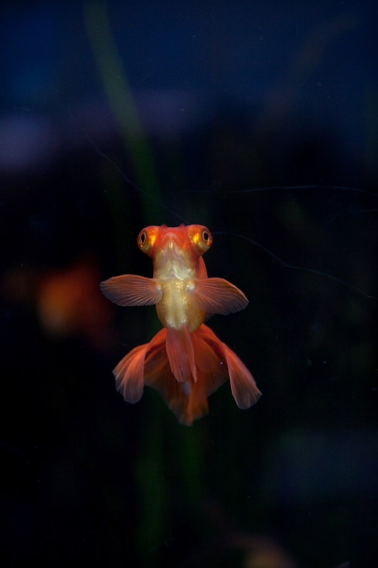 IMG_0324.jpg - laissez moi partir d'ici qu'il me disait