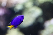 IMG_9507