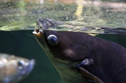 IMG_9936