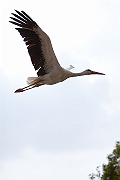 IMG_4315