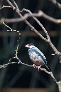 IMG_4372