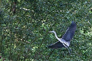 IMG_4463