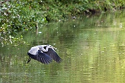 IMG_4494