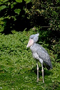 IMG_4628