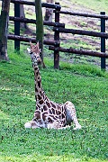 IMG_4635
