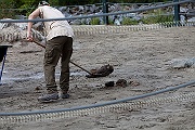 IMG_4637