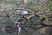IMG_4653