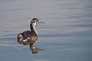 IMG_4765