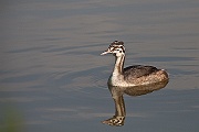IMG_4769