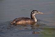 IMG_4786