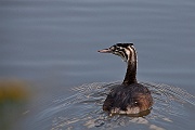 IMG_4795