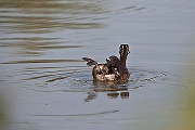 IMG_4822